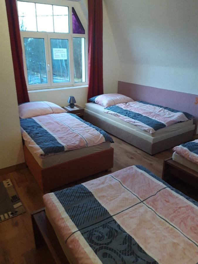 Ferienwohnung Erz-Hostel Thermalbad Wiesenbad ภายนอก รูปภาพ