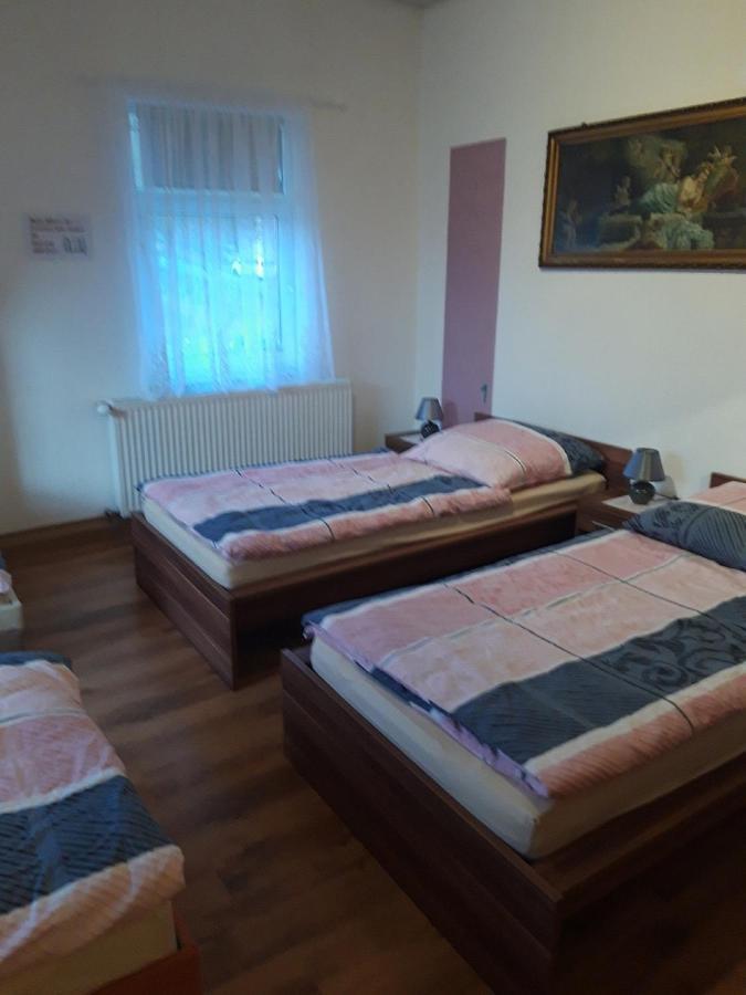 Ferienwohnung Erz-Hostel Thermalbad Wiesenbad ภายนอก รูปภาพ