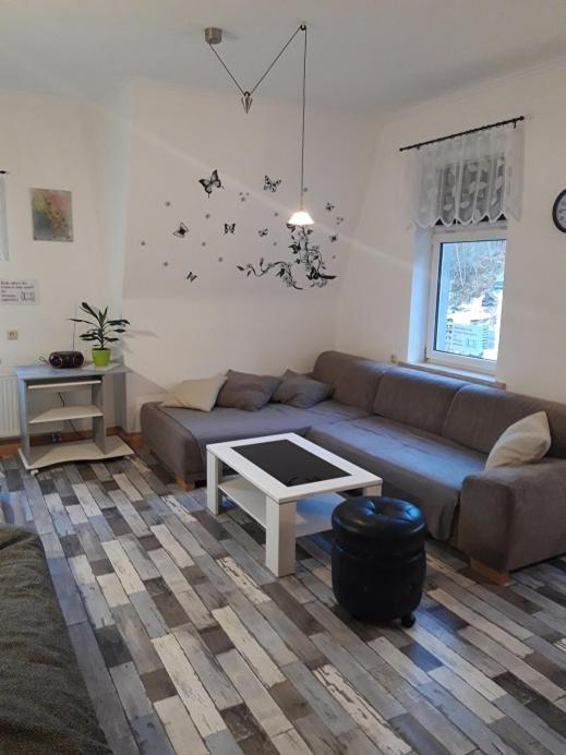 Ferienwohnung Erz-Hostel Thermalbad Wiesenbad ภายนอก รูปภาพ
